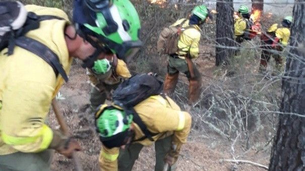 La Junta prevé que la restauración de la zona del incendio de Nerva pueda comenzar en octubre