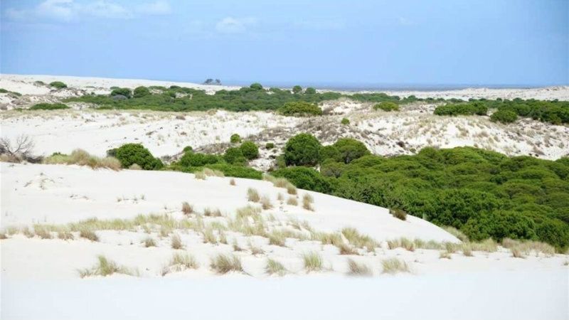 Una nueva patera llega a la Punta del Malandar en Doñana con 15 inmigrantes, ocho de ellos menores