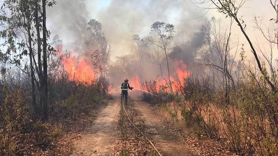 Extinguido el incendio forestal de Almonaster tras quemar en 11 días más de 10.000 hectáreas