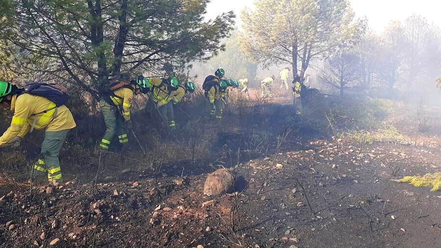 Estabilizado el incendio de Cabezas Rubias