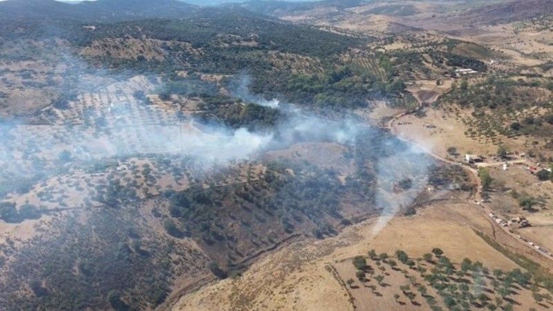 Sofocan un incendio forestal declarado en Cumbres Mayores