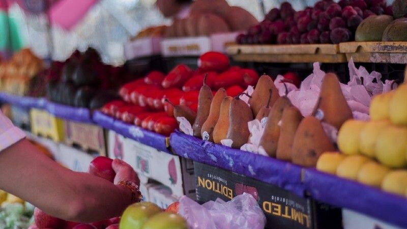 Diez puestos para recolectar y manipular frutas para personas con discapacidad superior al 33%