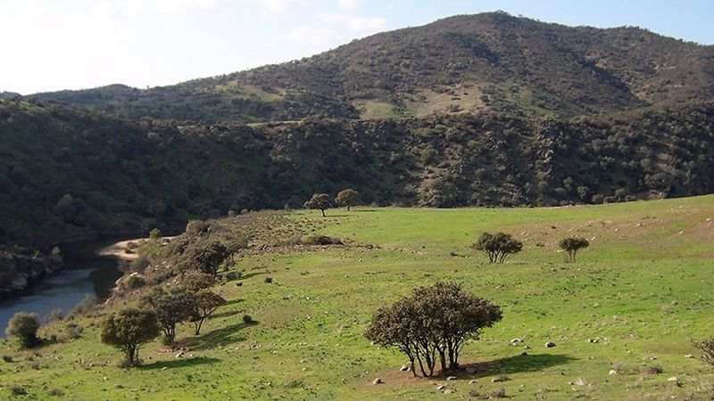 Herido grave un menor tras recibir un disparo accidental en una cacería nocturna