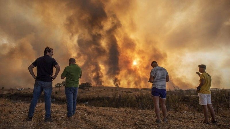 Activan un programa de voluntariado para colaborar en la restauración de la zona del incendio de Almonaster