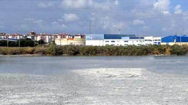 Adelante pedirá un estudio toxicológico tras hallarse arsénico y zinc bajo las uñas cerca de los fosfoyesos