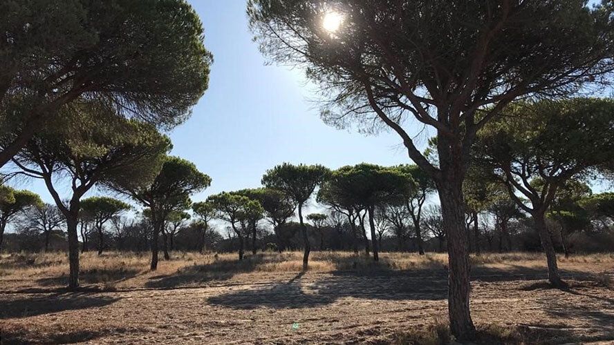 Hinojos acoge la charla 'Doñana Contada' donde personas vinculadas al Parque abordan su presente y futuro