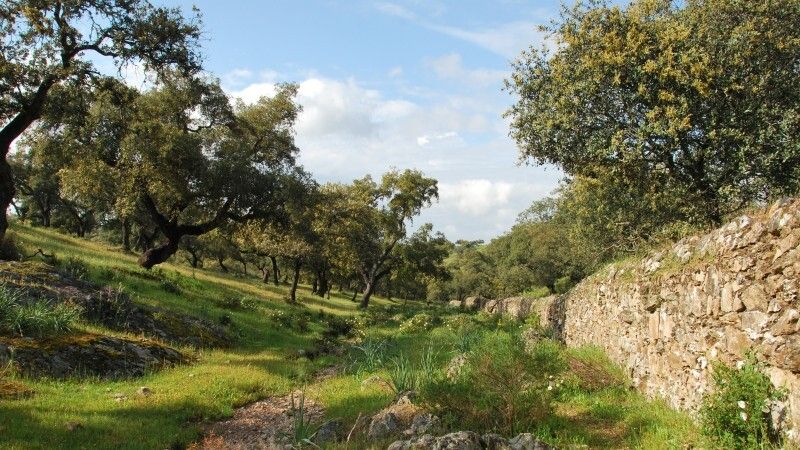 Diputación presenta dos nuevas propuestas de proyectos europeos en la 4ª convocatoria del POCTEP