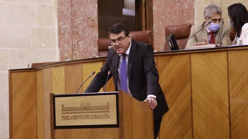 El Parlamento de Andalucía aprueba la propuesta de Vox y estudiará plantar arboles que tapen la vista del Polo Químico