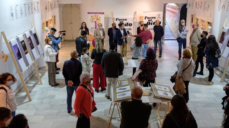 Poesía, música, ilustración y fotografía en una nueva exposición del OCIb