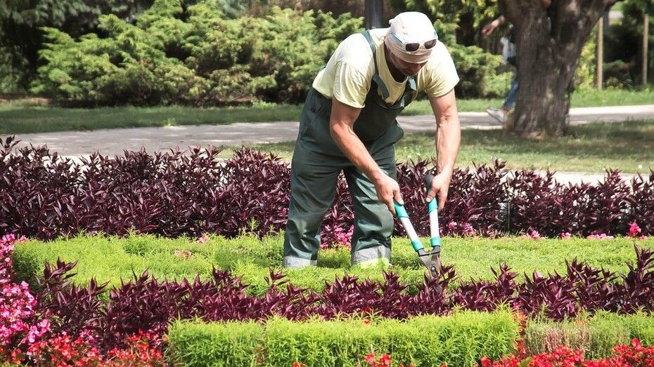 Una empresa de jardinería precisa de tres empleados para realizar una obra