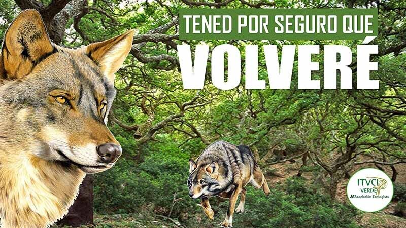 El runrún: Paripé anti-covid en el Barrio Obrero