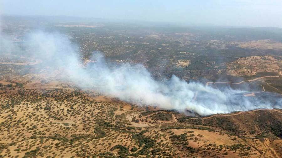Extinguido el incendio forestal en Rosal de la Frontera