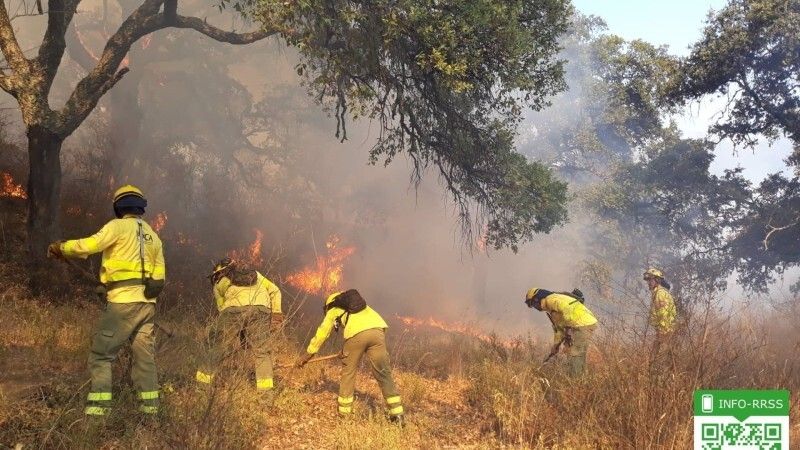 Este martes se inician las actuaciones de emergencia en la zona afectada por el incendio de Almonaster