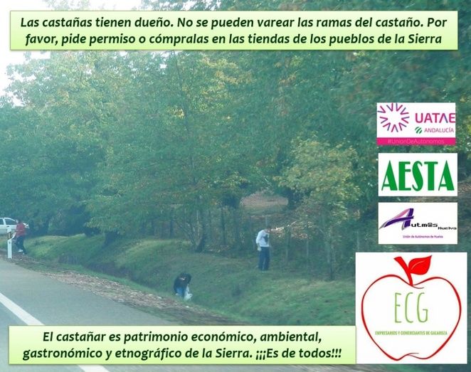 En marcha una campaña de concienciación para frenar los robos de castañas en la Sierra