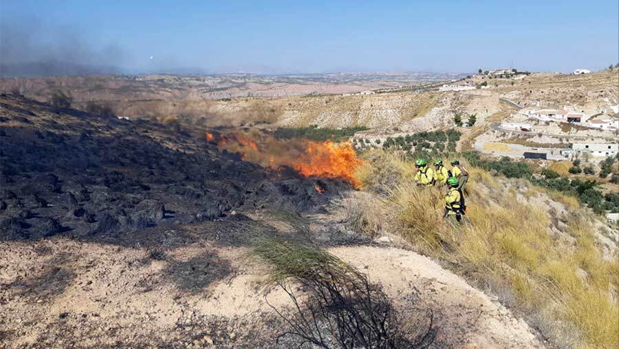 El viento dificulta las tareas de extinción de un incendio declarado en Rosal de la Frontera