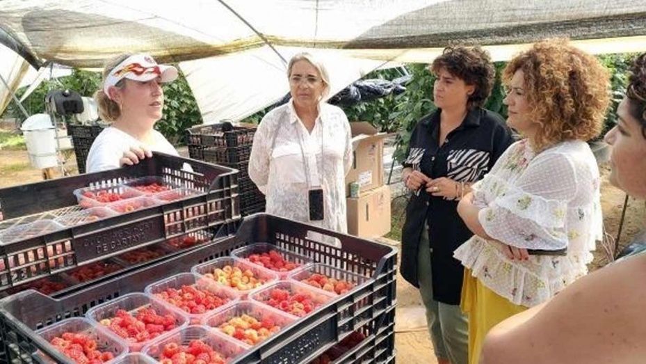 El PSOE presume de 'contundencia' a la hora de impulsar medidas igualitarias que dignifiquen a las mujeres del mundo rural