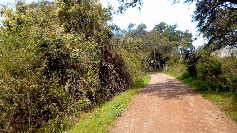 La costa pierde ante la sierra la batalla de las reservas para este puente
