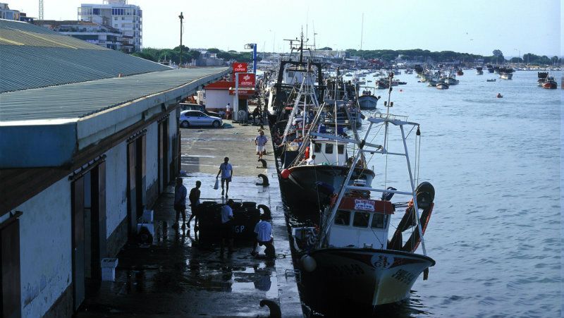La Junta invertirá 500.000 euros en la reparación del dique de acceso al puerto de Punta