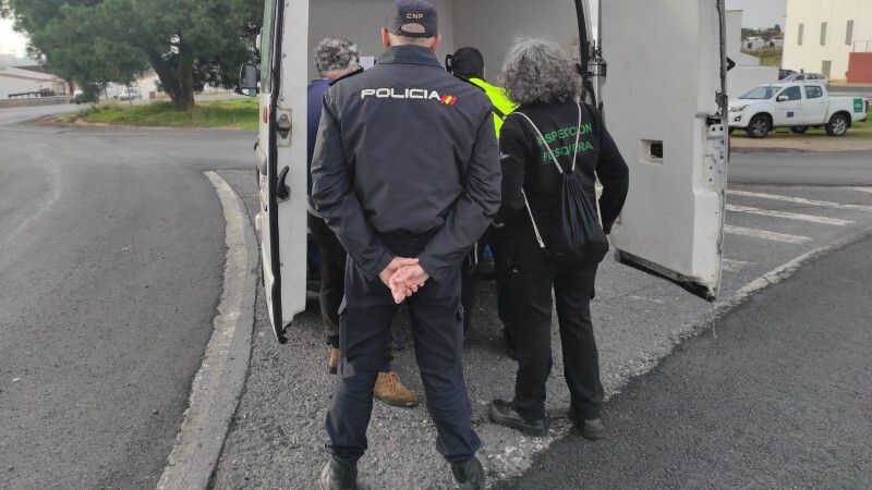 Devuelven al mar 1.200 kilos de almeja japonesa inmadura intervenida en Isla Cristina