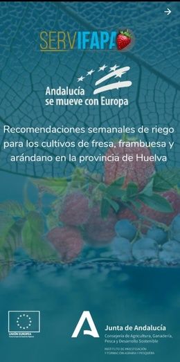 Nace ‘Riego Berry’, una app de recomendaciones de riego para los cultivos de fresa, frambuesa y arándanos