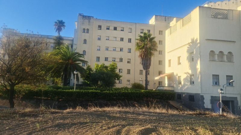 Una asociación onubense reforesta voluntariamente la entrada del Hospital Vázquez Díaz