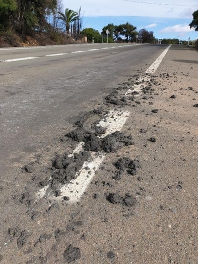 Ecologistas en Acción denuncia el 'vertido tóxico' de un camión en la N-435