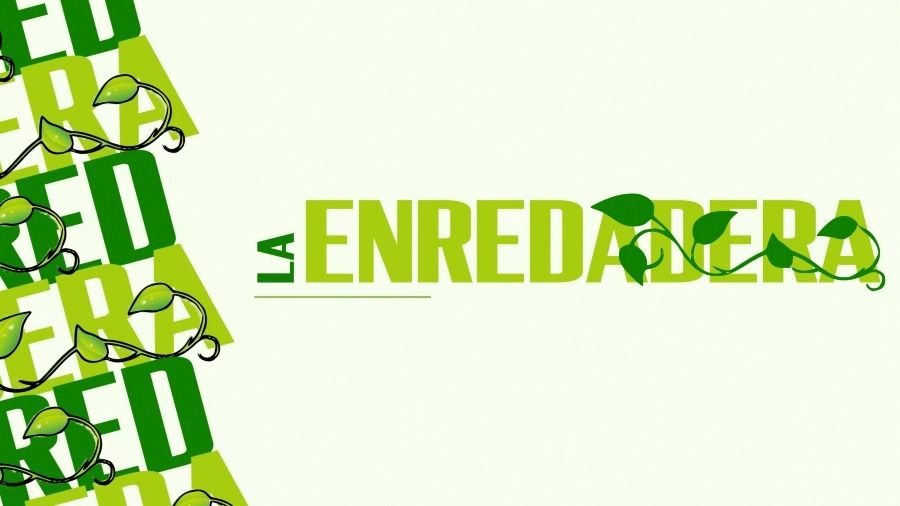 Nace en Huelva 'La enredadera', una ecotienda con mucho que ofrecer