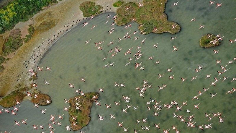 Doñana llena de forma artificial una de sus lagunas ante la ausencia de lluvias