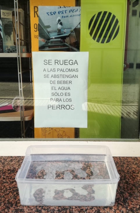 El runrún: El caos sin semáforo
