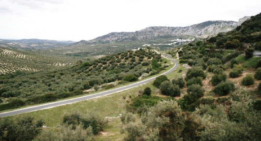10 rutas de senderismo ideales para disfrutar del otoño en Andalucía