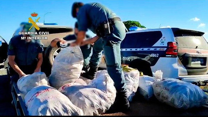 Investigan a 38 personas por recoger hasta 7.500 kilos de piñas sin autorización y sin el conocimiento necesario