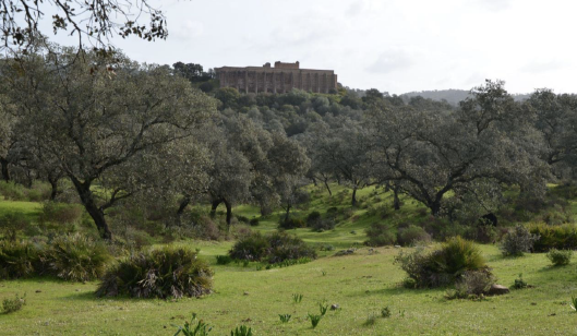 10 rutas de senderismo ideales para disfrutar del otoño en Andalucía