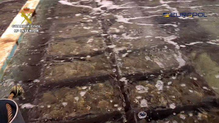 Desmantelan una red internacional que introducía en España almeja japónica contaminada con destino Huelva y Cantabria