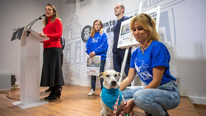 Aones fomenta la adopción de perros abandonados con su nuevo calendario
