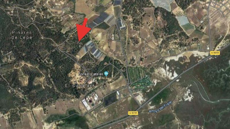 Hallan en Lepe el cuerpo de un hombre que podría ser el desaparecido con alzheimer de La Antilla