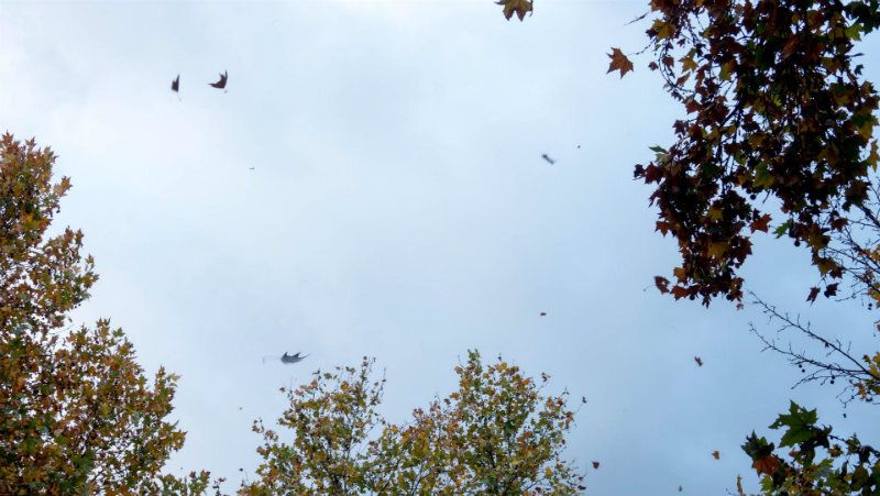 La lluvia y el viento darán una tregua el martes y volverán el miércoles para quedarse varios días