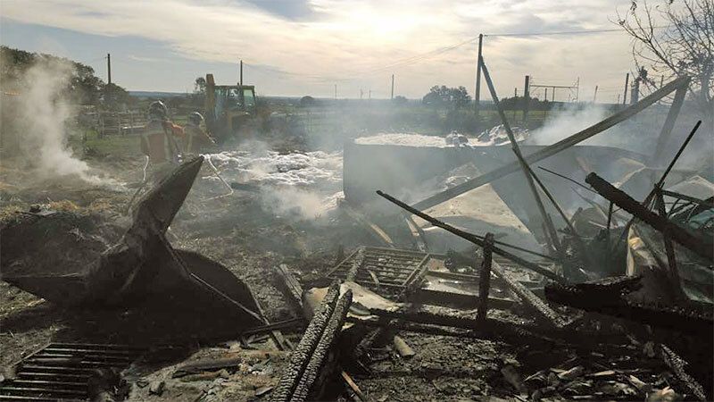 Muere una yegua en el incendio de unas cuadras en El Almendro