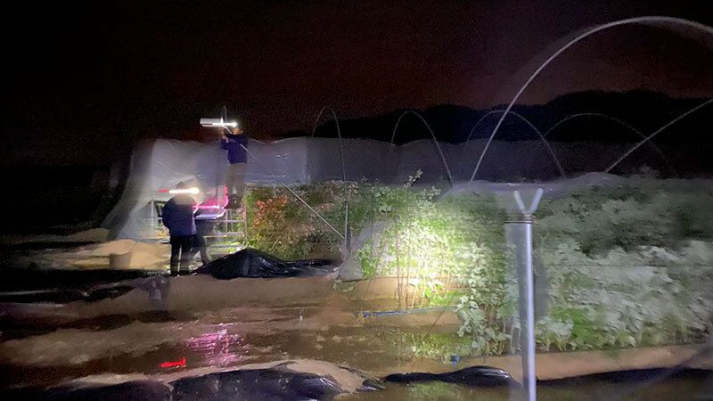 La cola de un tornado impacta en el Condado y deja más de 20 hectáreas afectadas