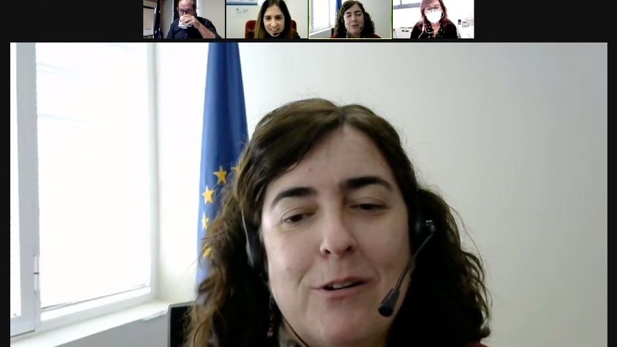 El nuevo Plan de Recuperación para Europa centra el webinar organizado por el Centro de Información Europea de Diputación