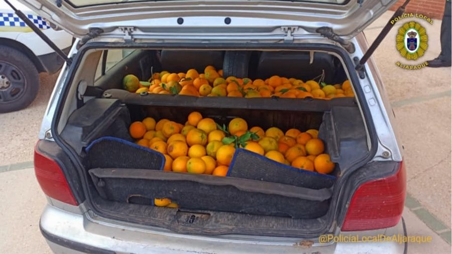 Sorprenden en Aljaraque a dos personas con 400 kilos de naranjas robadas en el coche 