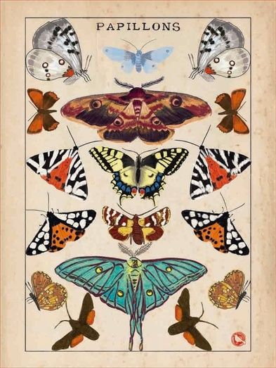 El 'toque mágico a lo natural' de las ilustraciones de Ana Baldallo