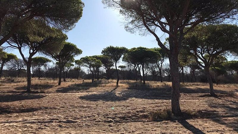 La temporada en las empresas de turismo de naturaleza se da ya por perdida