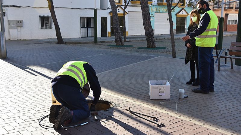 Plan de choque para acabar con las ratas y las cucarachas en Punta Umbría y El Portil