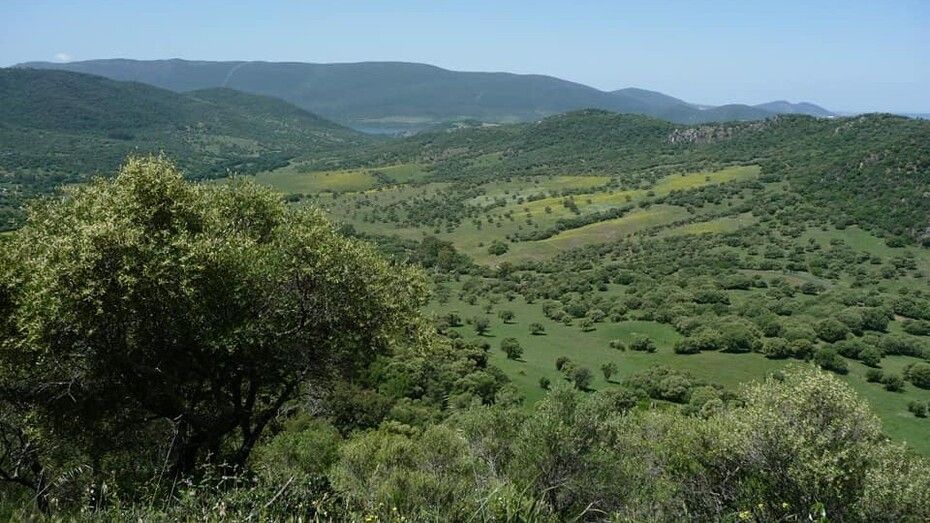 Localizan a una mujer y a su hijo menor de edad que se habían perdido tras desorientarse en el campo tras salir a buscar espárragos