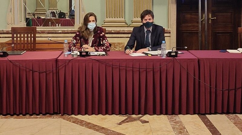 El Pleno da luz verde al nuevo contrato de la Zona ORA y condena a los 'indeseables' que causaron destrozos en la visita del Recre a Córdoba