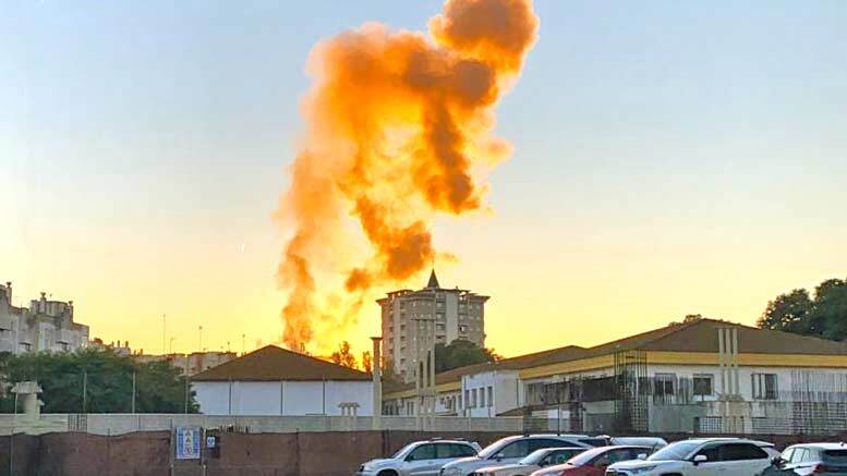 Los bomberos de la capital extinguen un incendio de vegetación junto a la calle San Sebastián