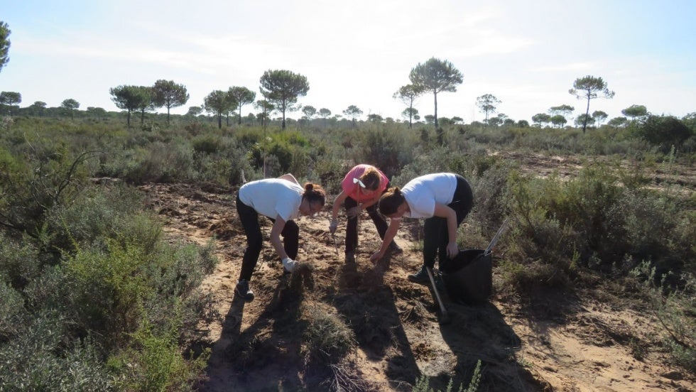 Ecologistas en Acción continúa con las plantaciones de restauración del incendio de las Peñuelas