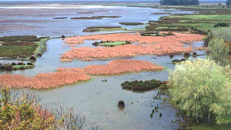 Junta y Gobierno aspiran a crear una comisión para abordar 'urgentemente' la situación de Doñana