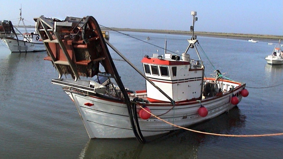 Sorprendidos cuatro barcos faenando de forma ilícita en la reserva de pesca de la desembocadura del Guadalquivir