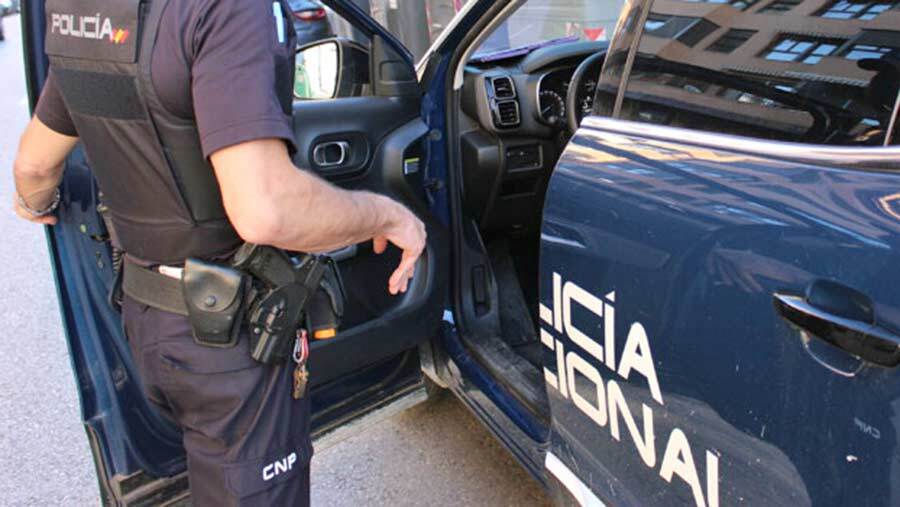 La acusación particular imputa un delito de asesinato a los  11 investigados por la muerte de una persona tras una reyerta en el Torrejón